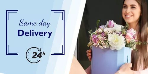 Same Day Delivery Flowers Delivery in Germany. Same Day Flowers Germany. Cheap Flower Delivery Germany.