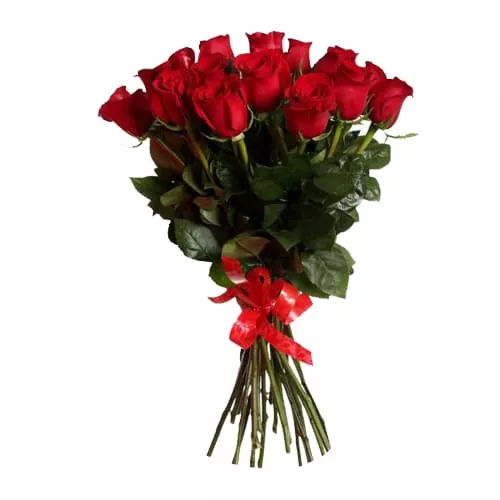 Traditional Allure of Red Roses