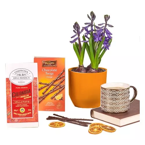 Sensory Delight: Hyacinth & Coffee Set