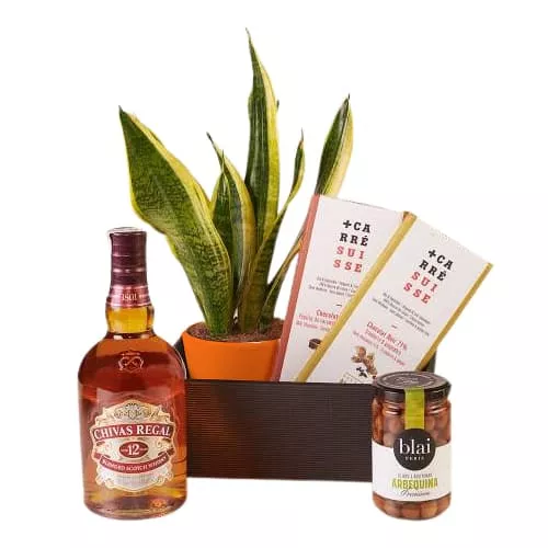 Sansevieria and Whiskey Gift Set