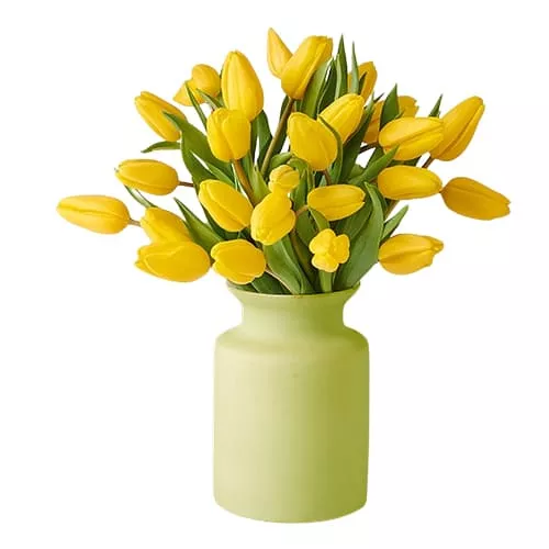 Radiance of Yellow Tulips