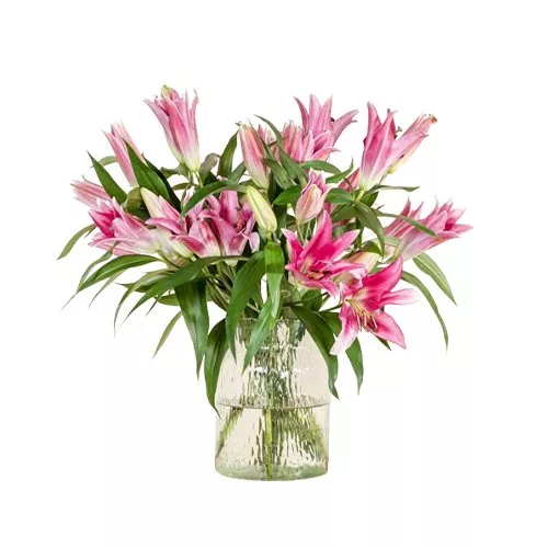 Pink Lily Paradise In Vase