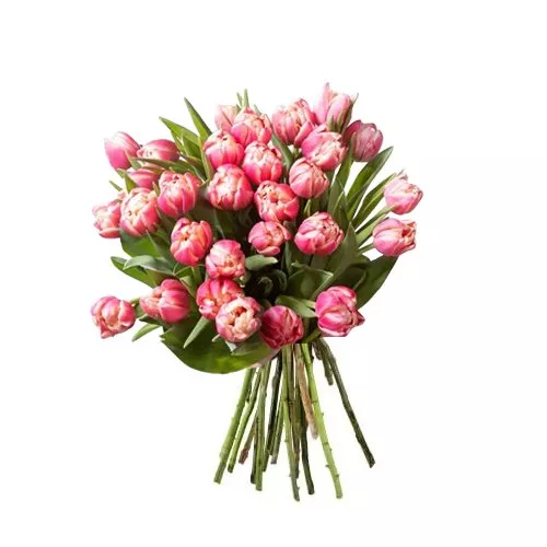 Vibrant Pink Tulip Bouquet Ensemble