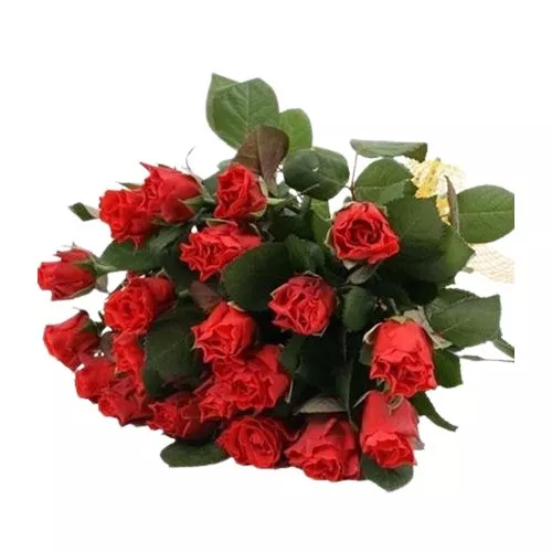 Romantic Red Rose Ensemble