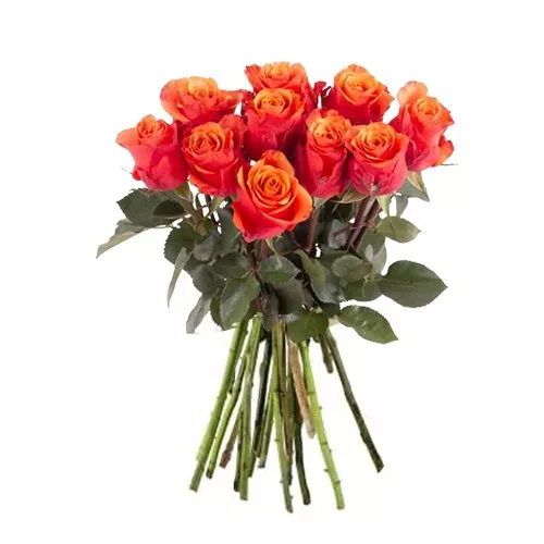 Amber Roses Bouquet Bliss