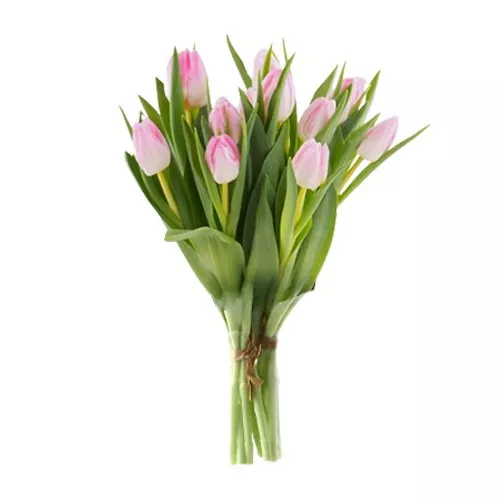 Pink Tulip Elegance in Bouquet