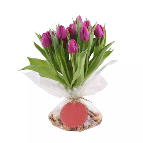 Purple Tulip Paradise Bouquet