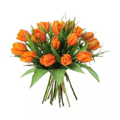 Orange Tulip Burst Bouquet