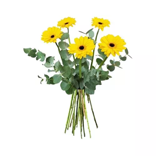 Sunshine Yellow Germini Bouquet