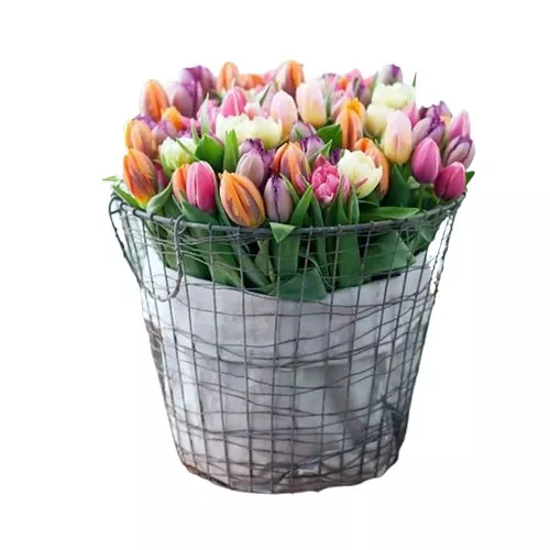 Colorful Tulip Medley Bouquet