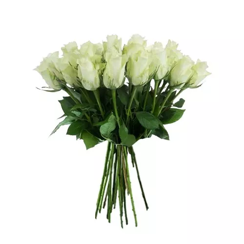 Athena White Rose Bouquet