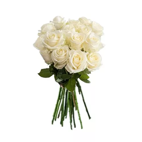 Elegant Avalanche White Rose Bouquet