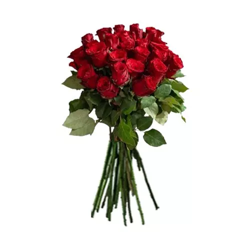 Abundant Short Red Roses Bouquet