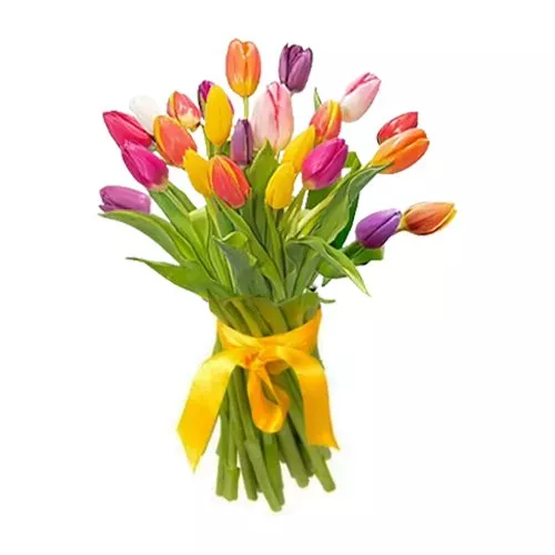 Spring Symphony: 20 Tulips