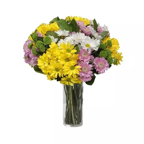 Tricolor Chrysanthemum Elegance: Bouquet Bliss