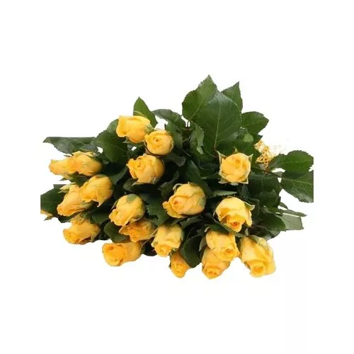 Sunshine Splendor: Dozen Yellow Roses