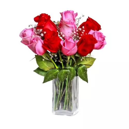 Passionate Petals: Pink & Red Roses