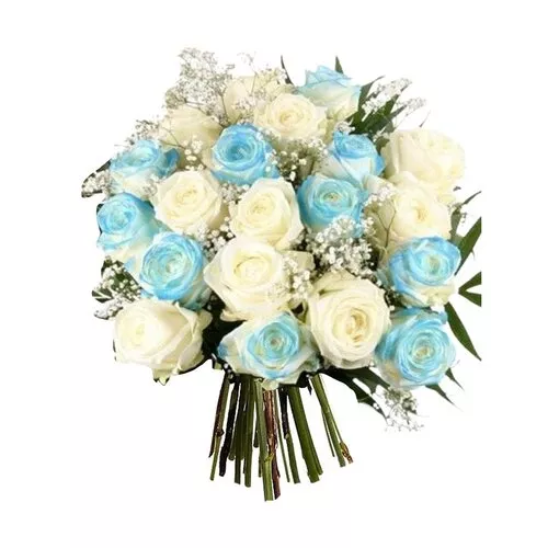 Blue And White Roses Harmony
