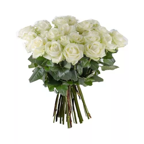 Pure White Rose Bouquet