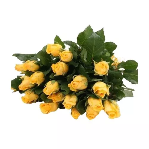Sunny Love: 15 Yellow Roses