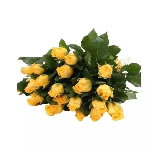 Golden Sunshine: Bouquet Radiance