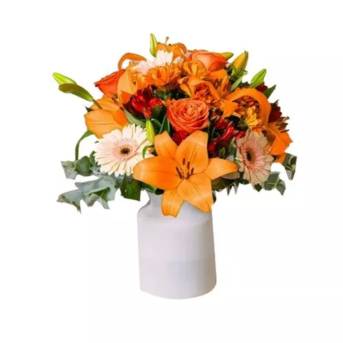 Radiant Orange Blossom Collection