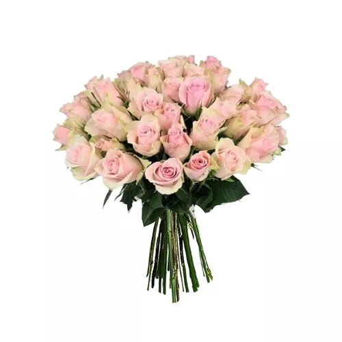 Elegant Pink Rose Bouquet